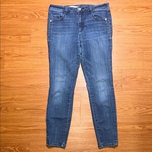 Pilcro and the Letterpress Blue Skinny Jeans